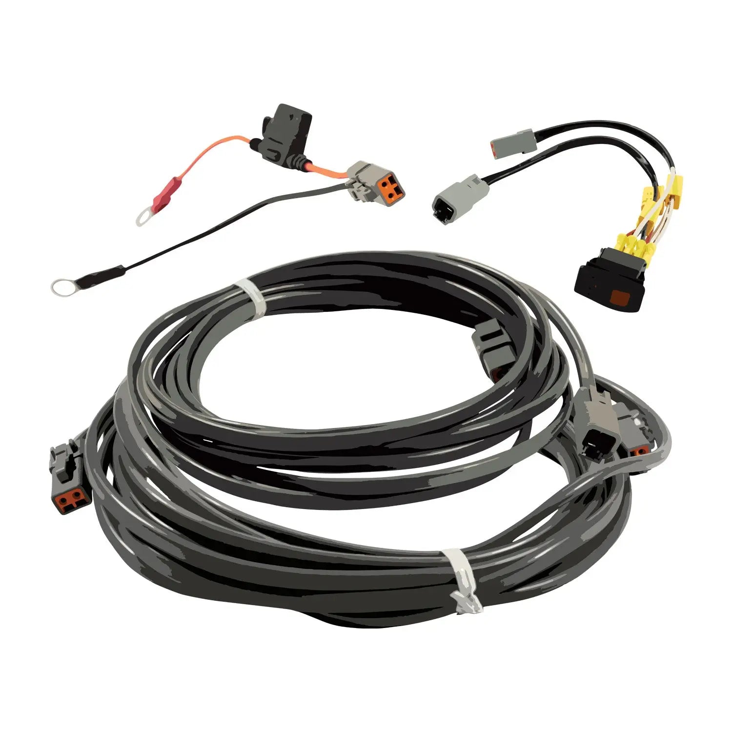Complete Wire Harness Kit for Ballast Pumps - Fatsac Fatsac