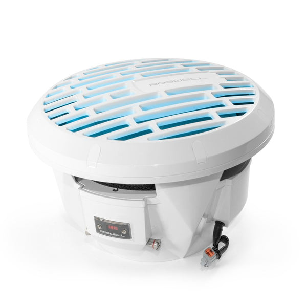 Roswell R1 12" Subwoofer