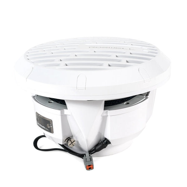 Roswell R1 10" Subwoofer